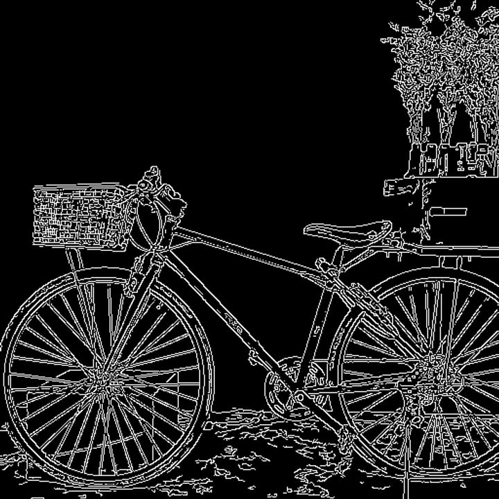 After: white edges of the bicycle, basket and plants on black, the Edges map for ControlNet