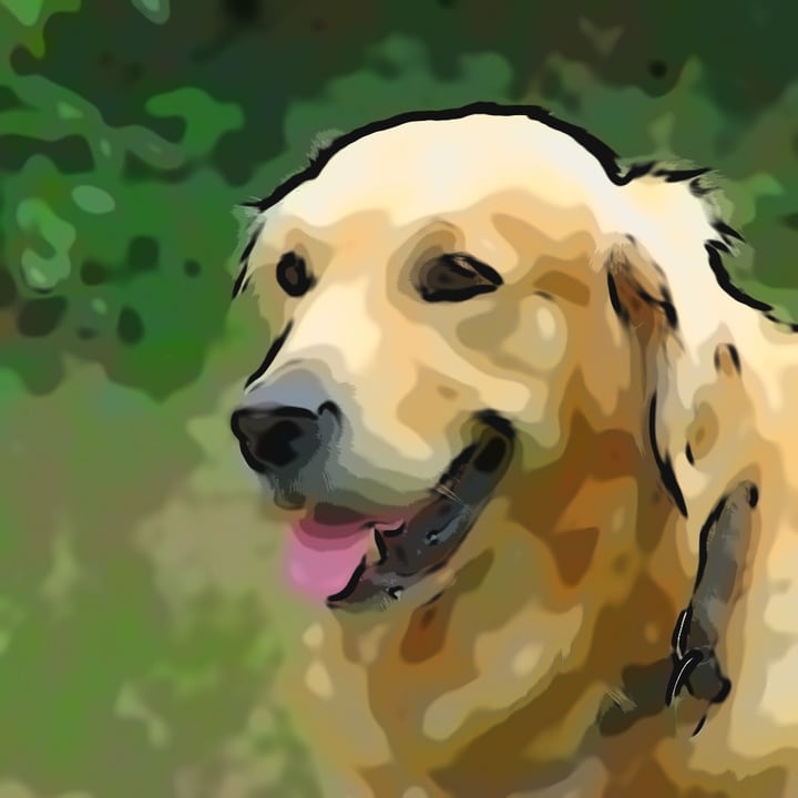 After: the same dog as a cartoon: flat, warm colors in a few tones, a dark outline around the head and the face drawn in ink